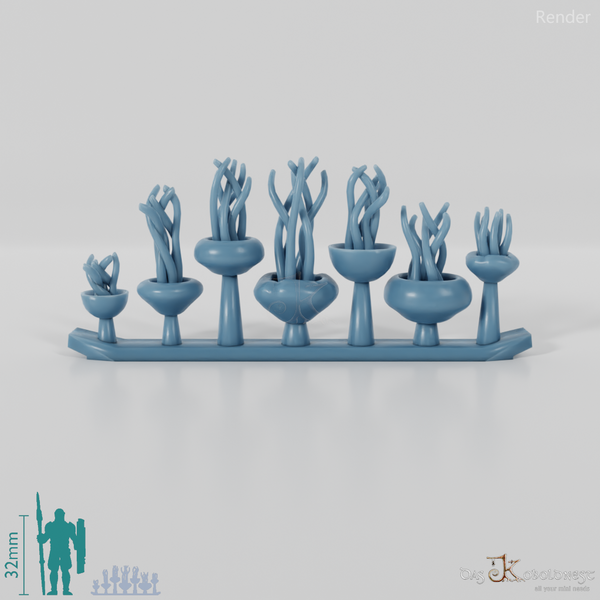 Jellyfish - jellyfish 1