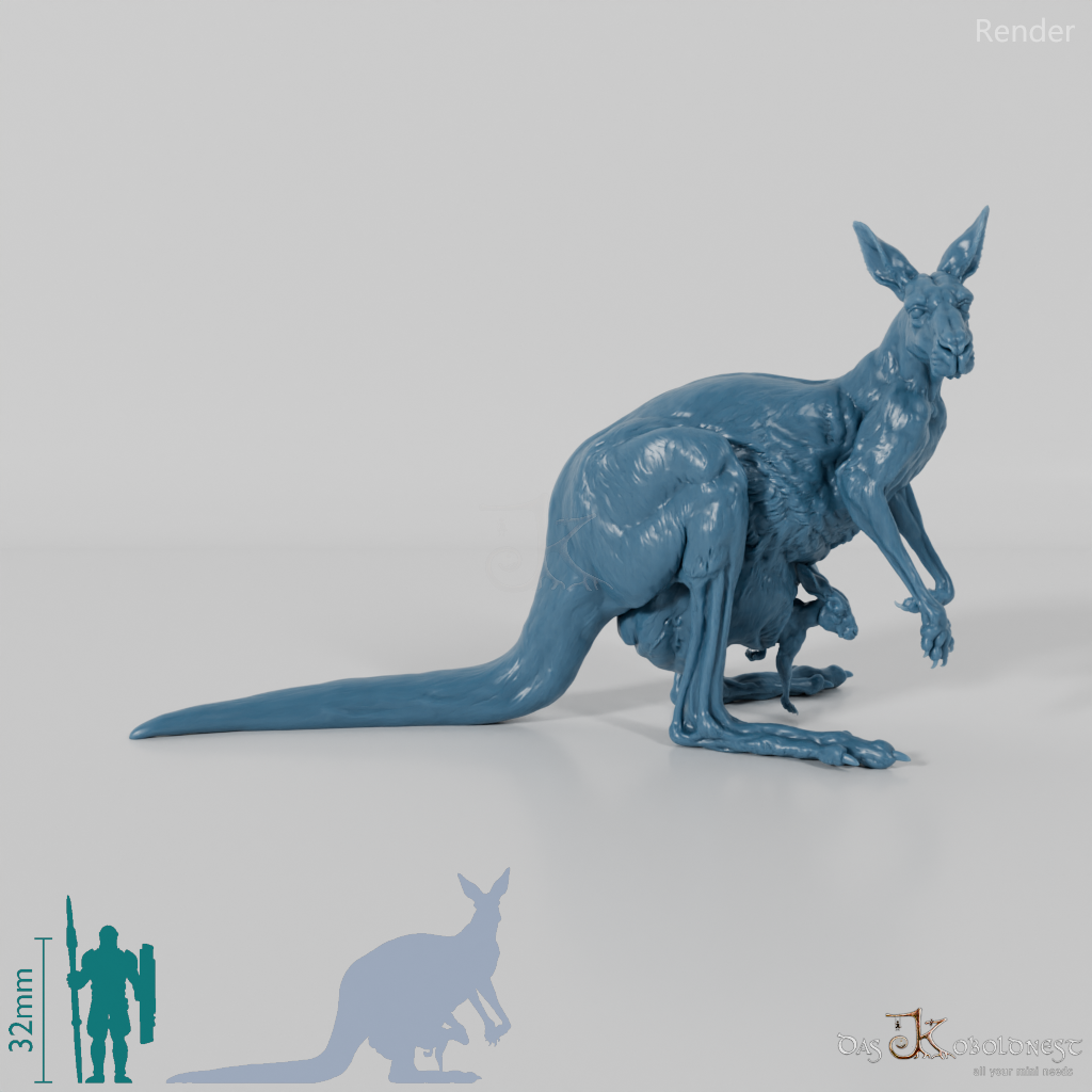 Känguru - Rotes Riesenkänguru - Weibchen 02