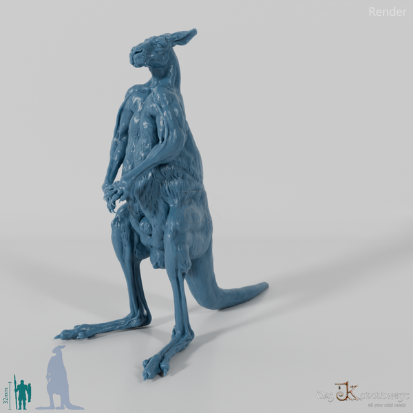 Kangaroo - Red Kangaroo - Male 01