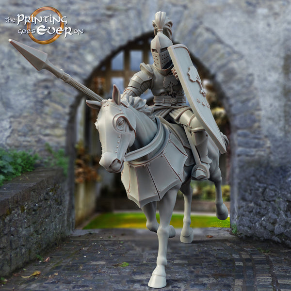 Gonthan Knight 01 (mounted)