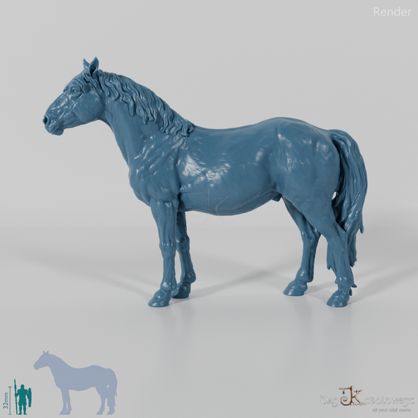 Horse - Konik 01