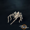 Giant spider A, small
