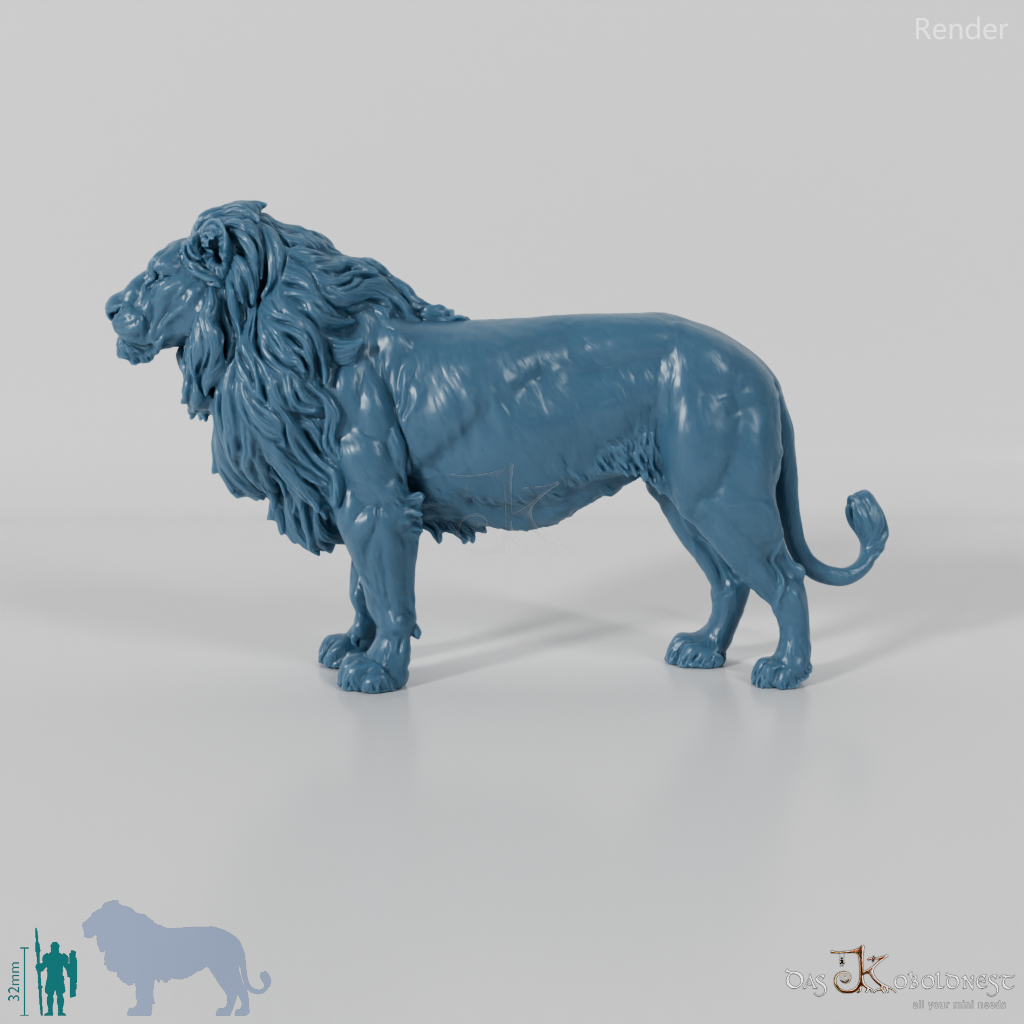 Big Cat - Lion 02