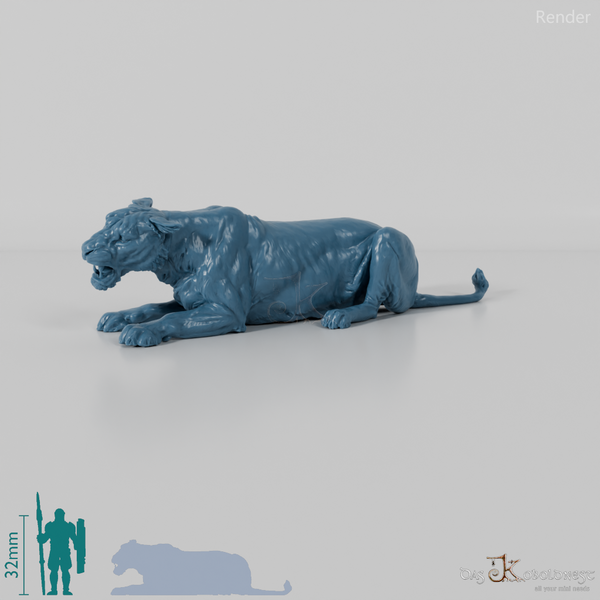 Big cat - lioness 04