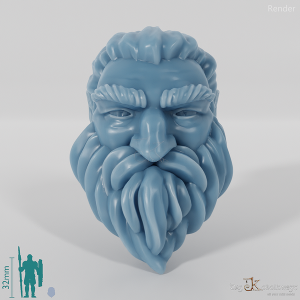 Dwarf Head - Male with long hair and a short beard