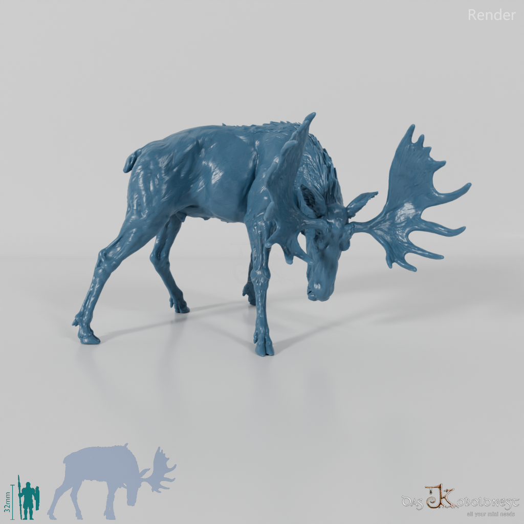 Deer - Elk - Bull 03
