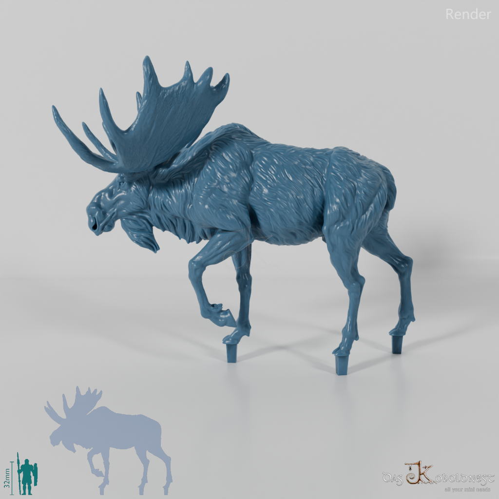 Deer - Elk - Bull 02