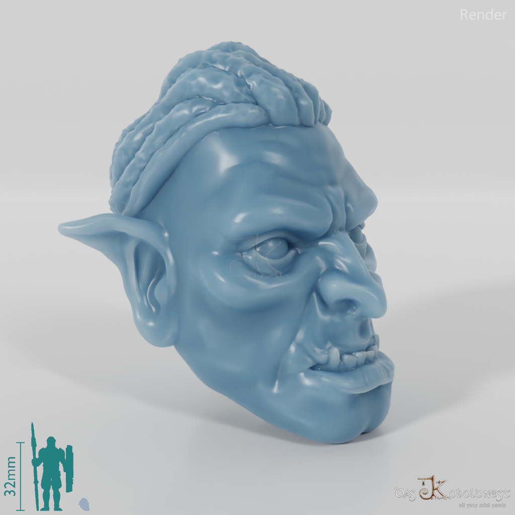 Orc Head V