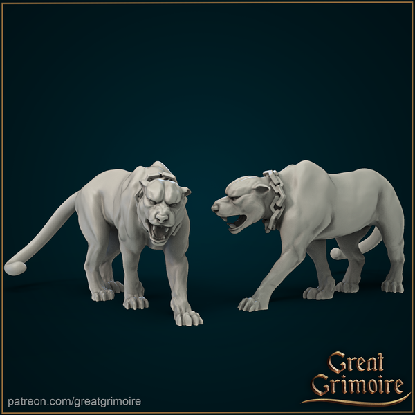 Big Cat - Tame Panther