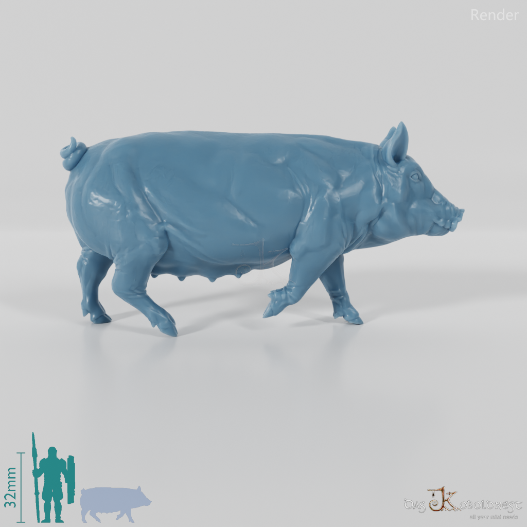 Hausschwein - Schwein 05