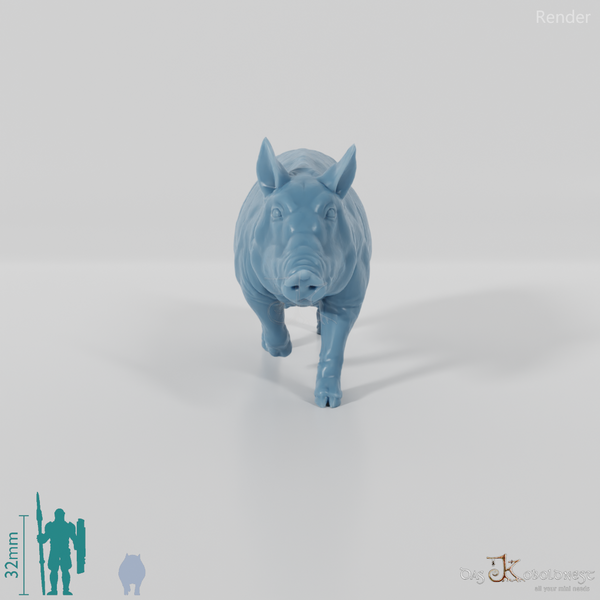 Hausschwein - Schwein 05