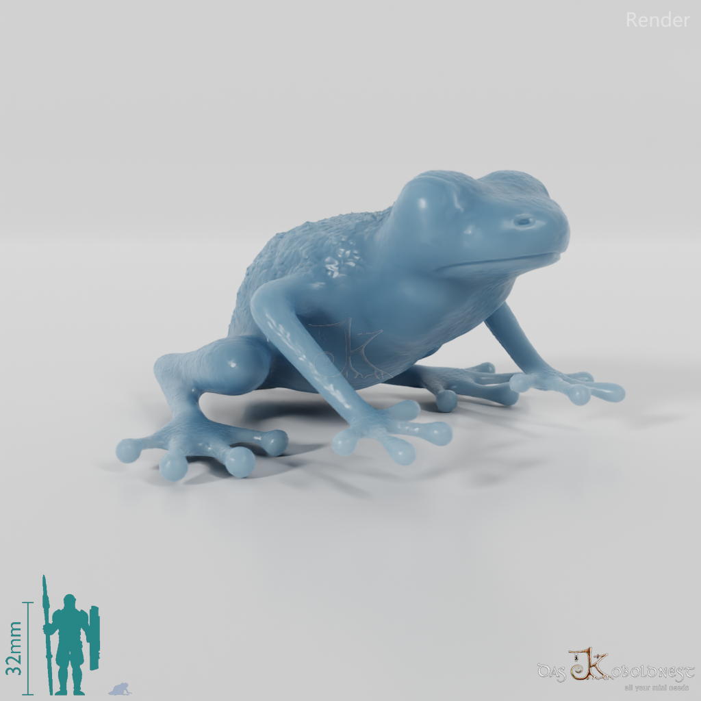 Frog - Poison Dart Frog 01