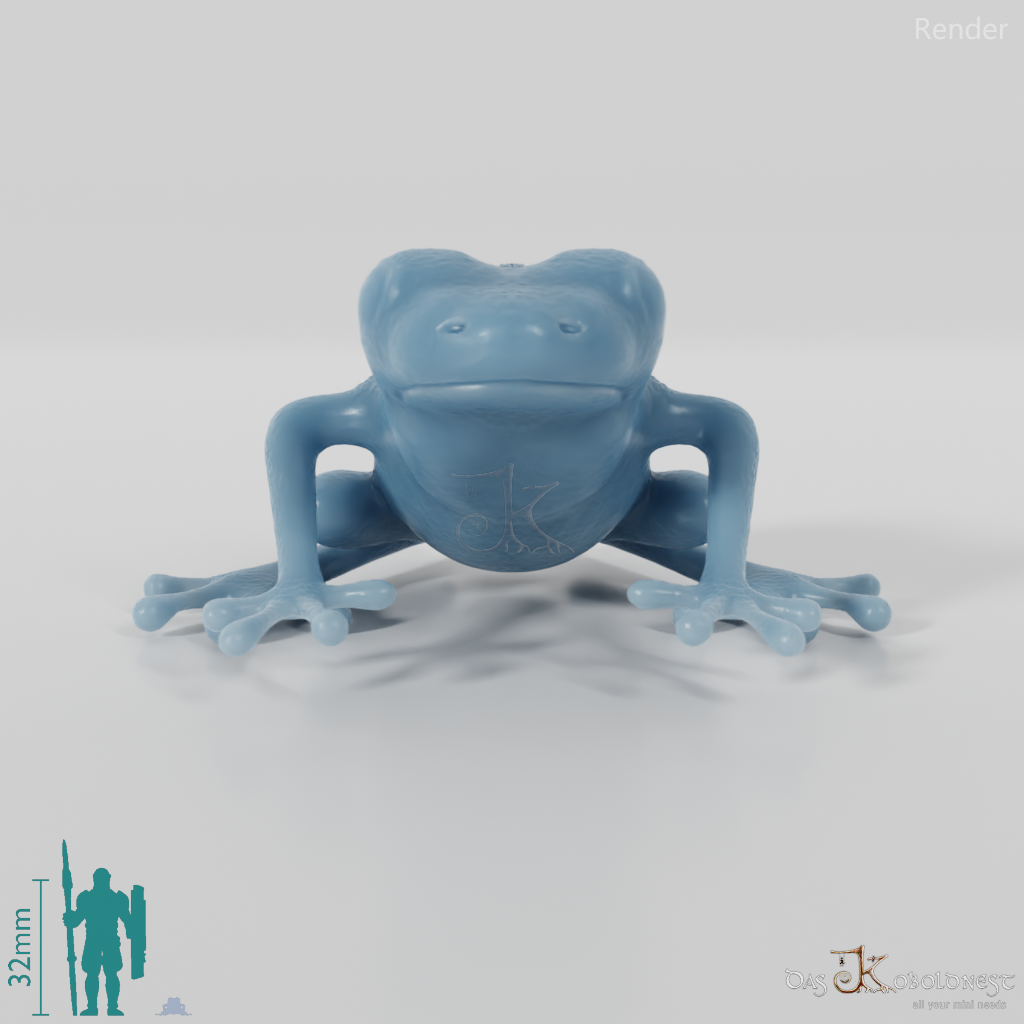 Frog - Poison Dart Frog 01