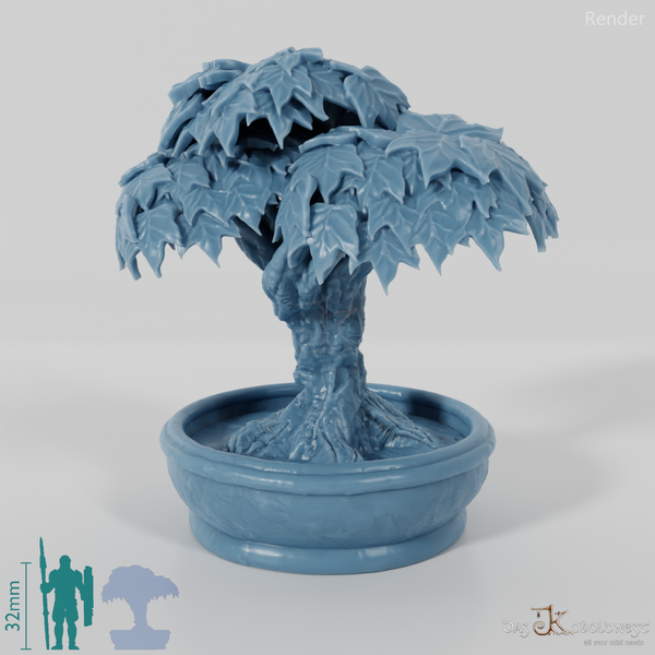 Baum - Zierbaum in Kübel 01