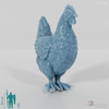 Chicken - Large domestic chicken
