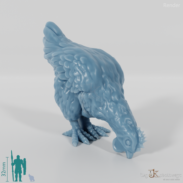 Chicken - Pecking domestic chicken