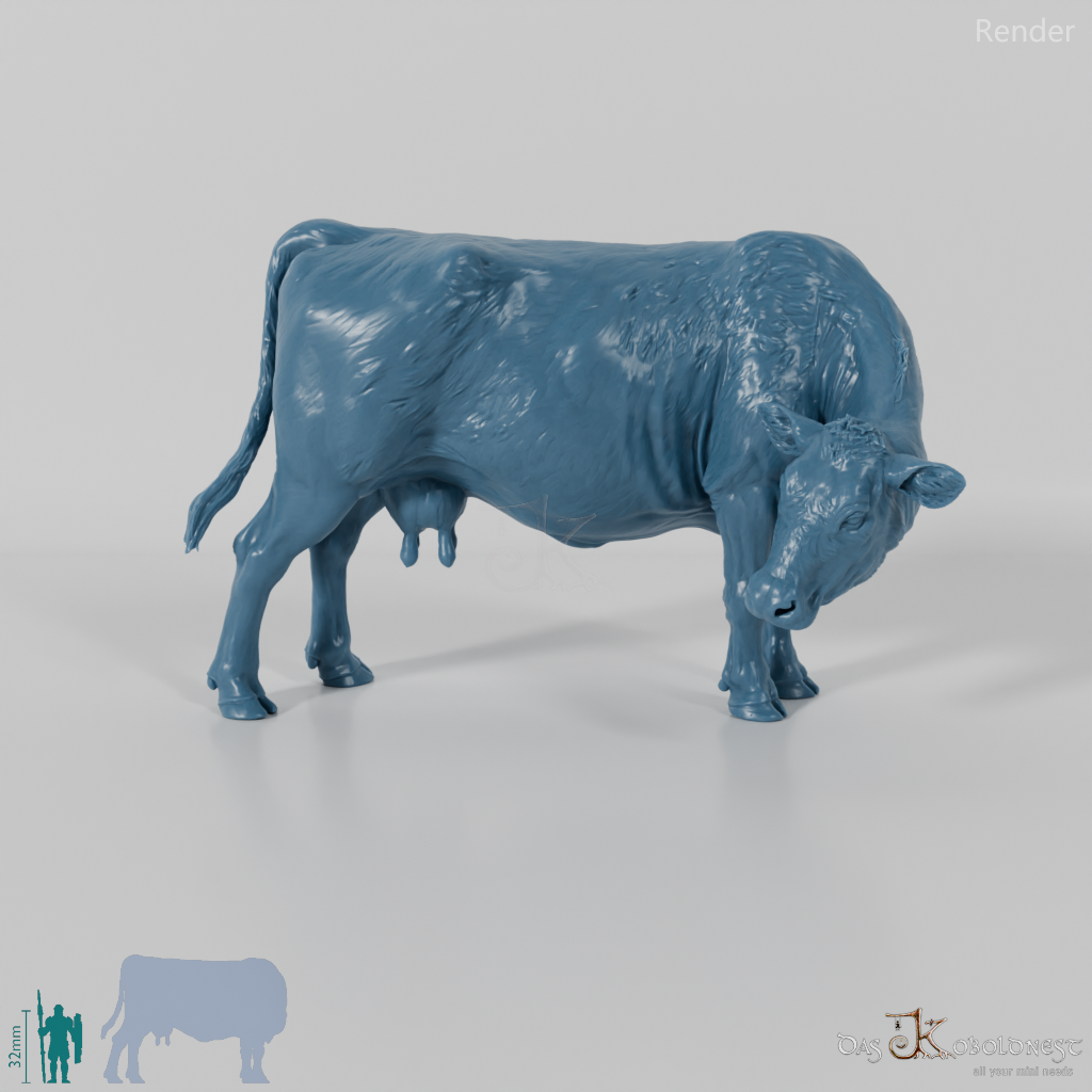 Beef - North Devon Cow 03