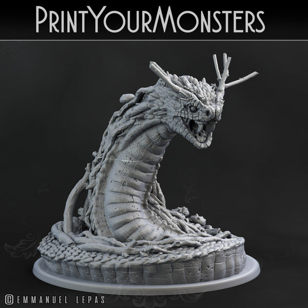 Snake - Giant swamp snake