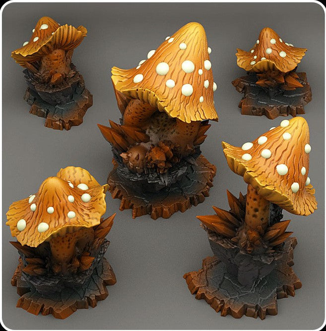 Thorny mushrooms