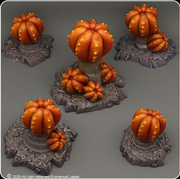 Pumpkin cactus