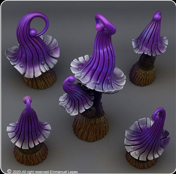 Fairy mushrooms 01