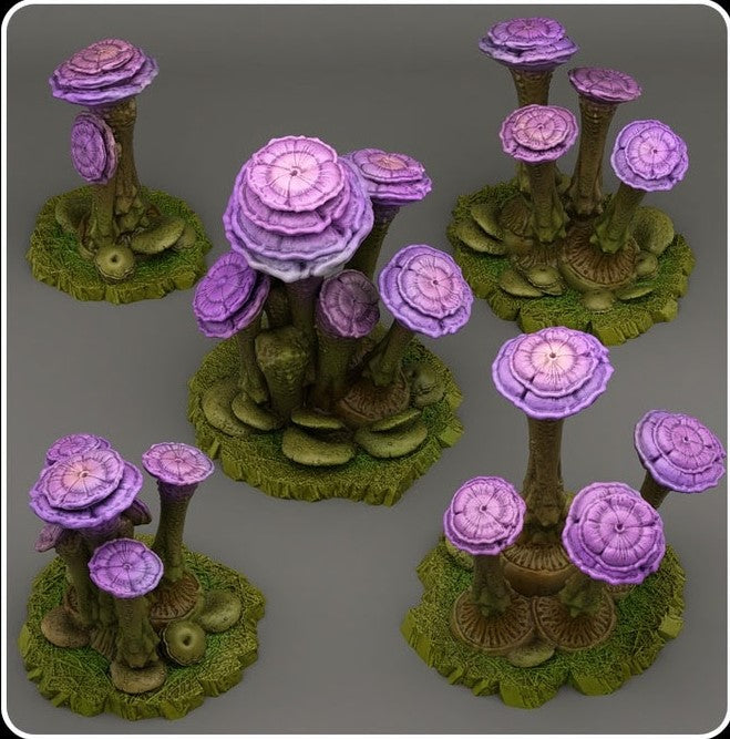 Fairy mushrooms 02