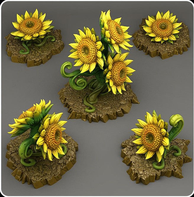 Fey-Sonnenblumen
