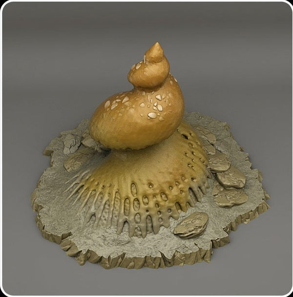 Snail - Fossilized giant snail
