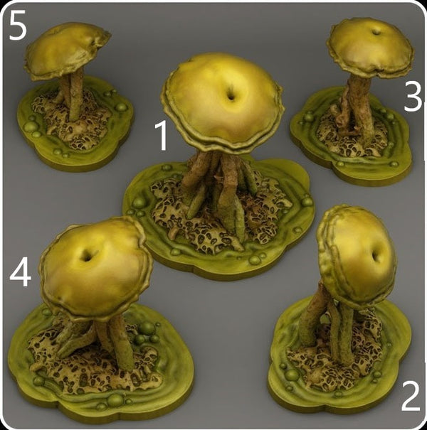 Poisonous swamp mushrooms