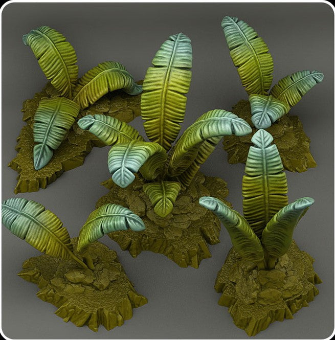 Tropical giant ferns