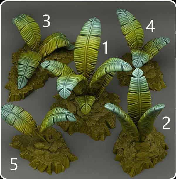 Tropical giant ferns