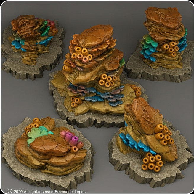 Korallenbewachsene Felsen