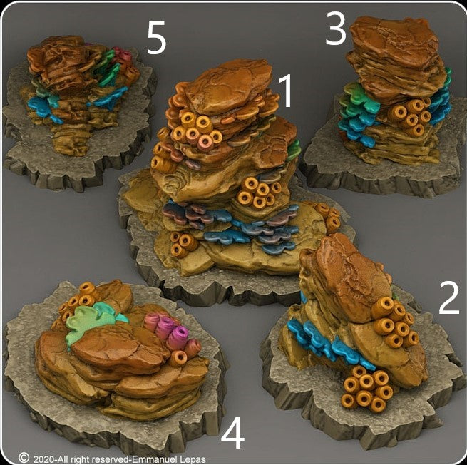 Korallenbewachsene Felsen