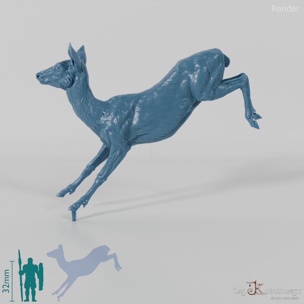 Deer - European Roe Deer - Ricke 02