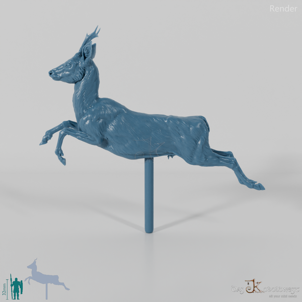 Deer - European Roe Deer - Buck 02