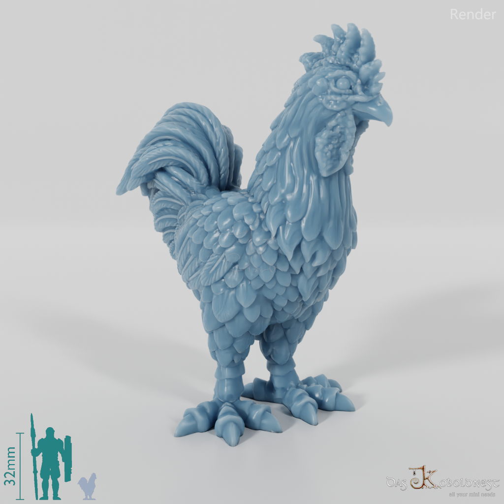 Chicken - domestic rooster