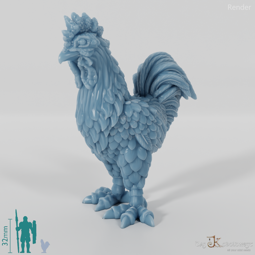 Chicken - domestic rooster