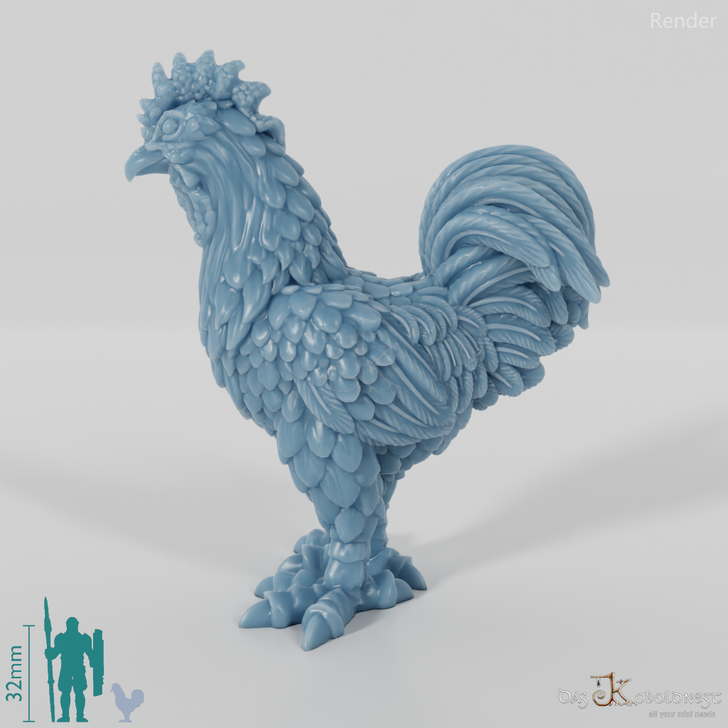 Chicken - domestic rooster