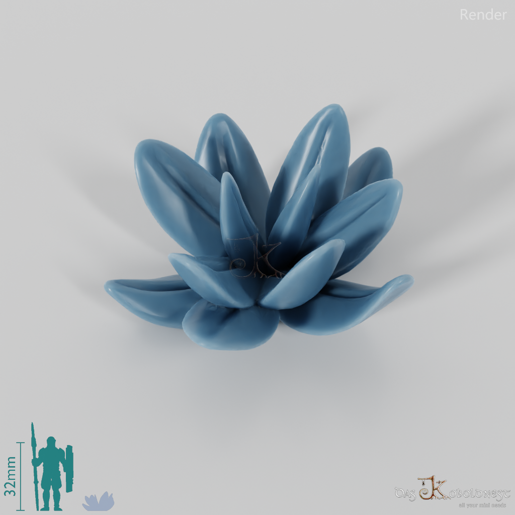 Savannah plant 11