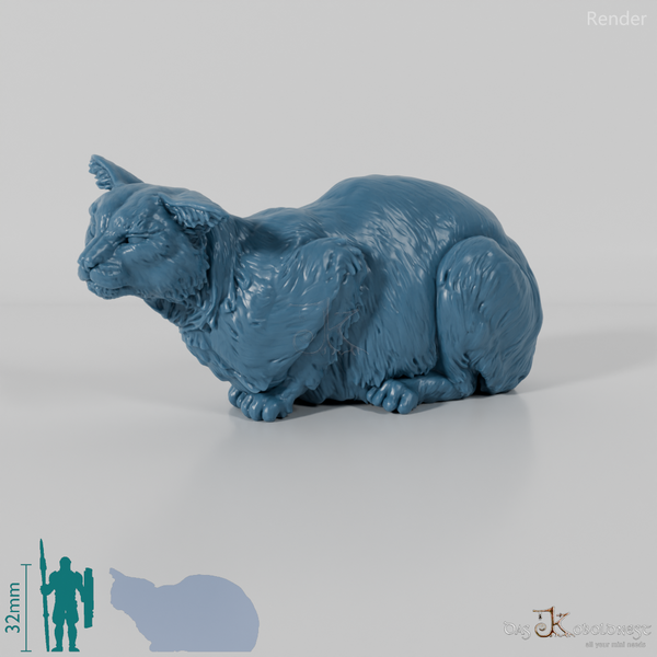 Cat - European Wildcat 02