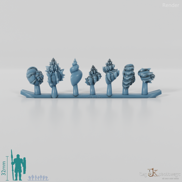 Snail - sea snails 1