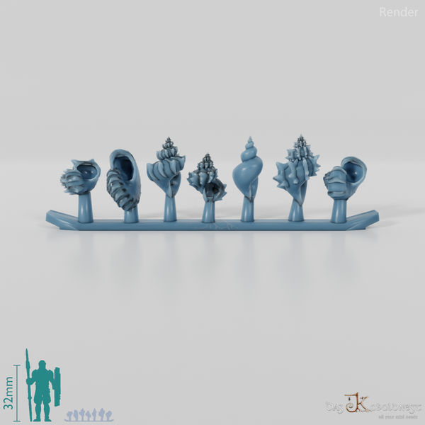 Snail - sea snails 1