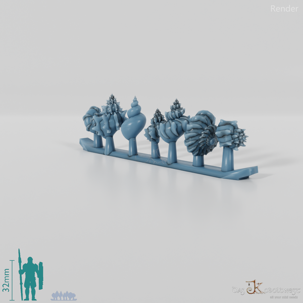 Snail - sea snails 1