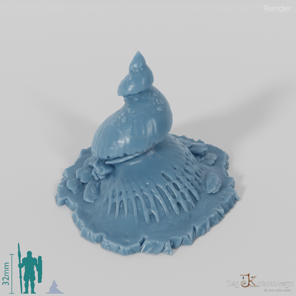 Snail - Fossilized giant snail