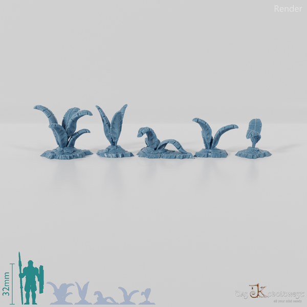 Tropical giant ferns