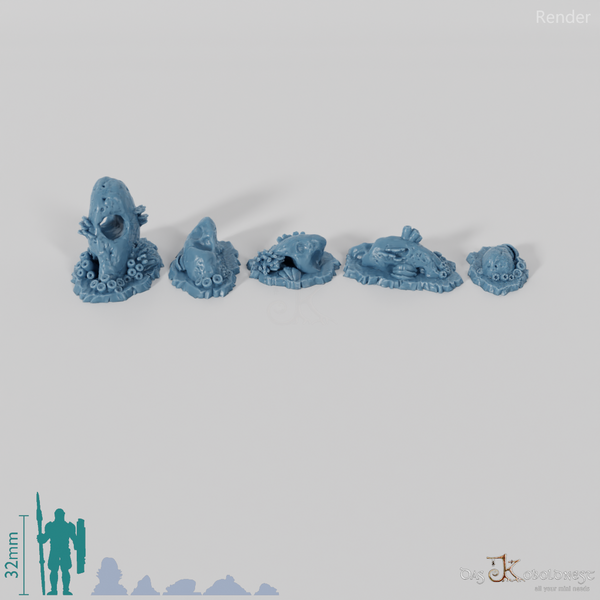 Bewachsene Meeressteine