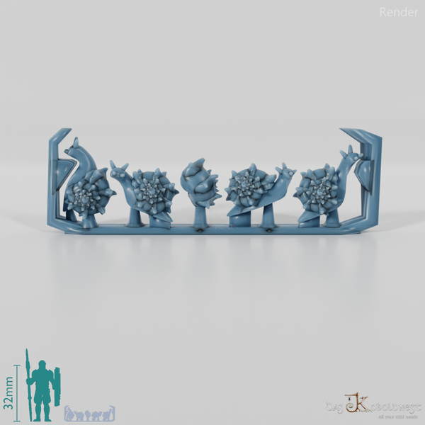 Schnecke - Schnecken 3