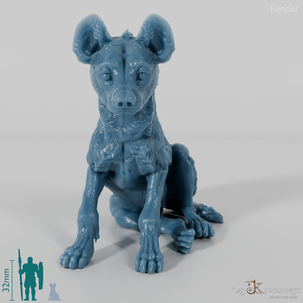 Hyena - Spotted Hyena Cub 01