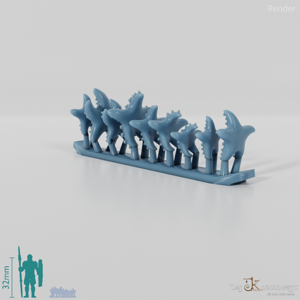 Seestern - Seesterne 1