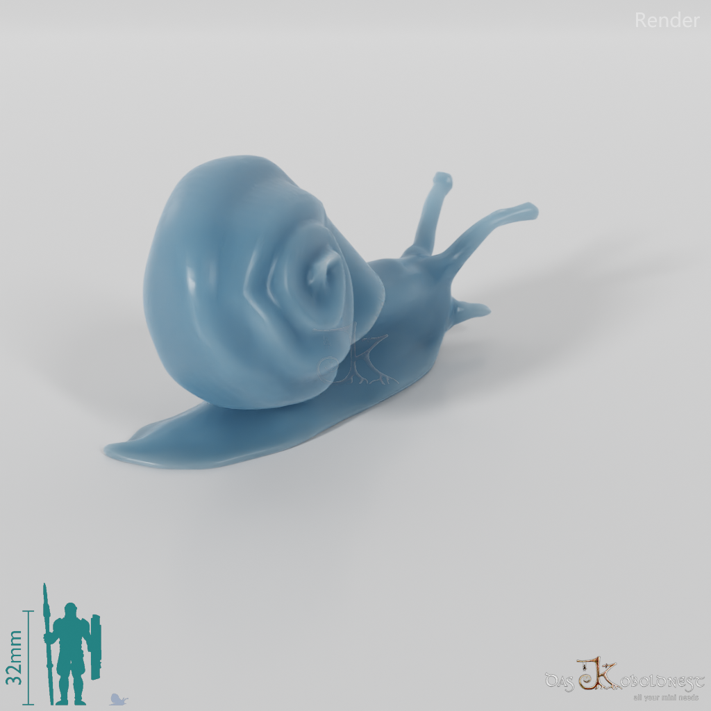 Snail - Snail 01